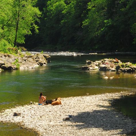 Summer Along the Wilson River Pool Shade, Elephant Rock, Swimming Hole, Falls Creek, Columbia River Gorge, Swimming Holes, Summer Bucket, The Pacific Northwest, Oregon Coast