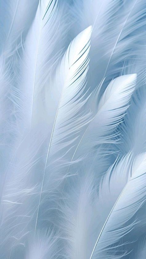 Feather Aesthetic Wallpaper, White Feather Wallpaper, Dove Pictures, Feather Wallpaper, Android Wallpaper Art, Iphone Wallpaper Stills, Phone Background Patterns, Background Light, Beautiful Abstract Art