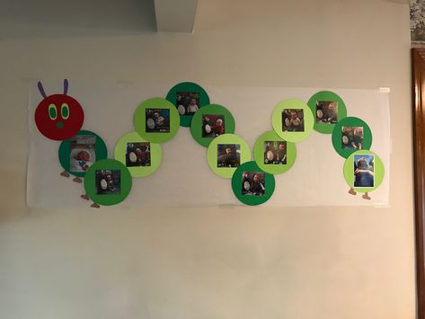 Butterfly Life Cycle Preschool, Eric Carle Classroom Theme, Hungry Caterpillar Classroom, Jungle Theme Classroom Decorations, Lilac Decor, Infant Lesson Plans, File Decoration Ideas, School Kids Crafts, Hungry Caterpillar Birthday