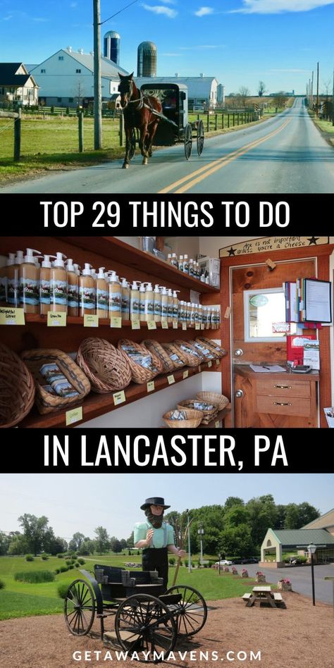 Escape to the picturesque beauty of Lancaster, PA, and immerse yourself in the rich culture of Amish Country! Explore our awesome list of 29+ things to do, guaranteed to make your getaway unforgettable. From experiencing the simplicity and charm of Amish life to discovering historical landmarks, indulging in delicious homemade treats, and exploring vibrant local markets, this guide will help you create lifelong memories in the heart of Pennsylvania Dutch Country. Check the blog for the details. What To Do In Lancaster Pa, Lancaster Pennsylvania Things To Do In, Things To Do In Lancaster Pa, Lancaster Pa Things To Do In, Amish Country Pa, Philadelphia Trip, Amish Country Lancaster Pa, Pennsylvania Amish Country, Things To Do In Pennsylvania