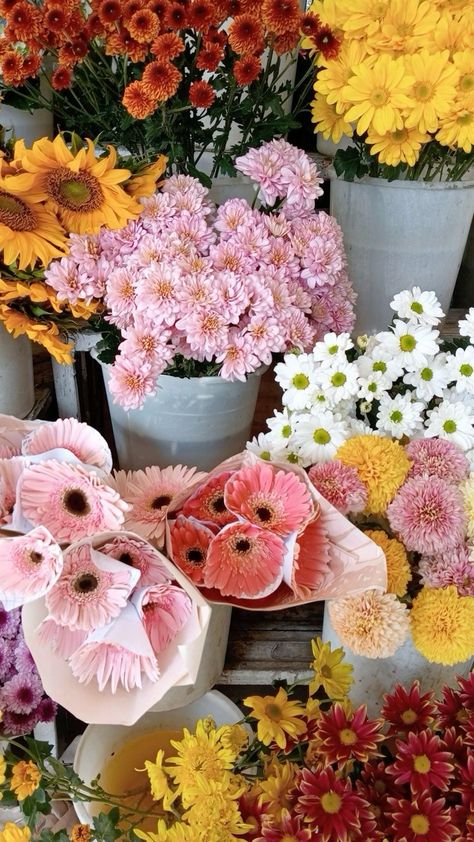 Virtual Flowers, Boquette Flowers, Nothing But Flowers, Flower Therapy, Beautiful Bouquet Of Flowers, Flower Farm, Beautiful Bouquet, Types Of Flowers, Flowers Nature