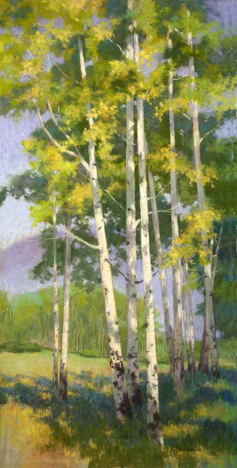 Summer Aspens by Diane Fechenbach, Pastel, 30 x 15 x 0 Summer Tree Painting, Aspen Trees Photography, Aspen Trees Painting, Birch Trees Landscaping, Inspirational Paintings, Trees Photography, Aspen Art, Painting Trees, Columbine Flower