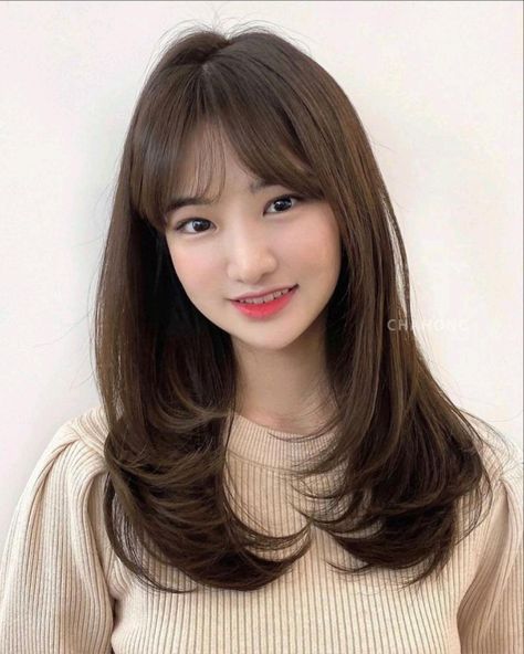 Layered Haircuts With Bangs, Hair Style Korea, Layered Haircuts For Medium Hair, Medium Layered Haircuts, Oval Face Hairstyles, Bangs With Medium Hair, Hairstyles For Layered Hair, Haircuts For Medium Hair, Haircuts Straight Hair