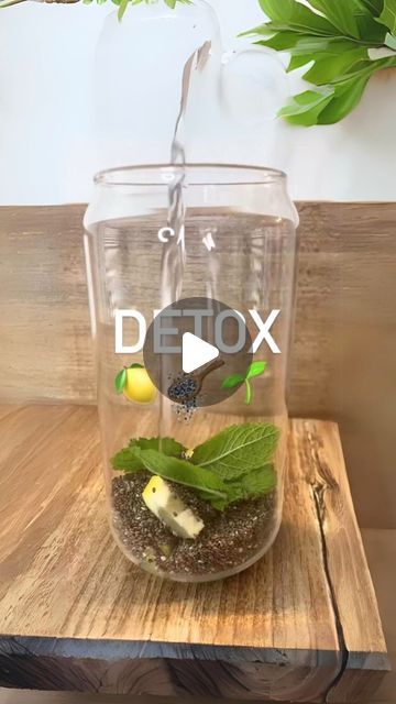 21-Day Green Smoothie Diet 🇺🇸 on Instagram: "🤩🔥 CLEANSE GUT WITH DETOX WATER

👉 Type "Chia" If You Want To Get Detailed Recipe

💝 21-Day Smoothie Detox provides simple detox smoothie recipes to help you change your waist effectively⚡

👉 Follow @21smoothiedetox to get daily recipes

#detoxsmoothie #detox #detoxing #detoxwweightloss #detoxforwweightloss #detoxforbody #smoothiediet #smoothieweightloss #3daydetox #detoxforweightloss #smoothierecipes #greensmoothie #smoothiedetox #smoothies21diet #weightlossdrinks #weightlosssmoothie #chiaseeds" Cleanse Gut, Simple Detox, Green Smoothie Diet, Detox Smoothie Recipes, 3 Day Detox, Smoothie Detox, Easy Detox, Daily Recipes, Water Type