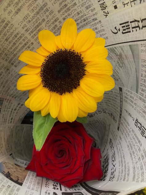 Sunflowers And Roses Aesthetic, Yellow Aesthetics, Gf Aesthetic, Newspaper Flowers, Sunflower Aesthetic, Sunflowers And Roses, Planting Sunflowers, Rosé Aesthetic, Flowers Rose