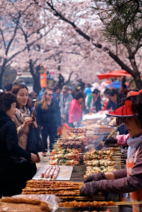 [KOREA] CHERRY BLOSSOMS IN SEOUL – Where is the BEST PLACES to see it | ANAKJAJAN.COM South Korea Cherry Blossoms, Korea Tourist Spots, Korean Festival, Korea Life, Cherry Festival, Life In Korea, Falling Petals, Visit Seoul, Andong