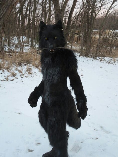 Werewolf fursuit 2 Wolf Inspired Outfits Male, Werewolf Cosplay Men, Black Wolf Costume, Realistic Wolf Fursuit, Cute Werewolf Costume, Werewolf Fursuit, Bear Fursuit, Black Fursuit, Werewolf Outfit