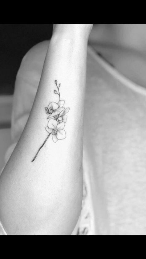 The Holy Ghost Orchid. Panamanian National Flower Cattleya Flower Tattoo, Orchid Tattoo Meaning, Cattleya Flower, Orchid Flower Tattoos, Flower Tattoo Meaning, Flower Tattoo Meanings, Orchid Tattoo, Female Tattoos, Anklet Tattoos