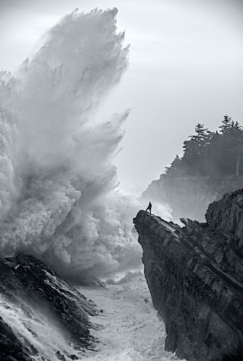 One of the most majestic pictures I have ever seen! - Imgur Feed In, Let Them, Foto Art, Ocean Waves, Amazing Nature, White Photography, Belle Photo, Black And White Photography, Beautiful World