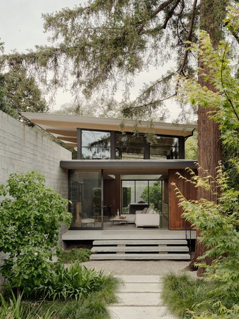 This Urban Refuge In Palo Alto Is Surrounded By Lush Vegitation Sanctuary House, Clerestory Windows, Through The Window, House And Home Magazine, Residential Design, Architecture Project, Modern Home, Architecture House, Great Rooms