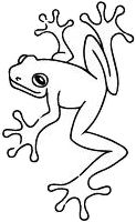 Wire Sculpting, Tree Frog Tattoos, Frog Coloring, Unique Wrist Tattoos, Wrist Tattoo Designs, Tattoo Coloring Book, Animal Outline, Color Knowledge, Frog Coloring Pages