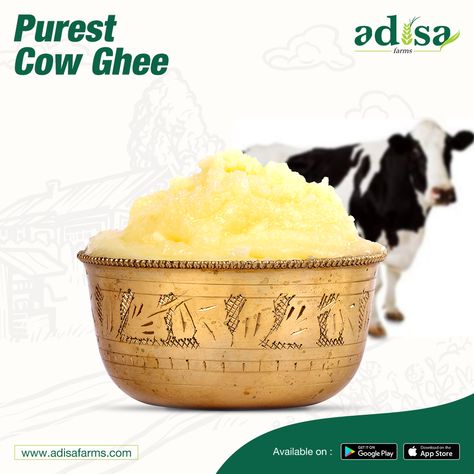 "Made with traditional bilona process, desi cow ghee is:  Excellent for bones & body Excellent for skin & hair Rich in antioxidants Powerhouse of vitamins & minerals "  #OrganicLife #OrganicProduct #Ghee #CowGhee #Adisa Desi Cow, Ghee Butter, Cow Ghee, Skin Hair, Ghee, Vitamins And Minerals, Desi, Bones, Vitamins