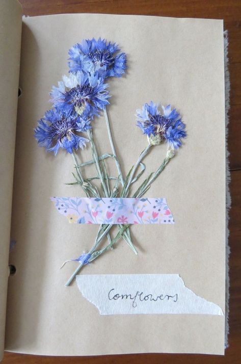 Pressed Flower Journal, Pressed Flowers Diy, Flower Journal, Pressed Flower Crafts, Art Journal Therapy, Arte Sketchbook, Paper Flowers Diy, Nature Journal, Nature Crafts