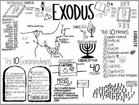 Bible Reading Challenge – Exodus Activities – Magnify Him Together Exodus Bible Study, Bible Study Exodus, Bible Reading Journal, Bible Reading Challenge, The Book Of Exodus, Exodus Bible, Bible Overview, Journal Bible Quotes, Bible Study Worksheet