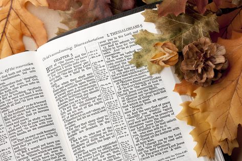 Dinner Prayer, Thanksgiving Bible Verses, Psalm 106, Revelation 11, Isaiah 12, Psalm 30, Giving Thanks To God, Psalm 9, Traditions To Start