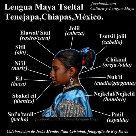 THE Tseltal or Tzeltal is a Maya anguage spoken in the state of Chiapas (Mexico) in about 17 municipalities, has approximately 370.000 speakers making it the second most spoken language in Chiapas (after Castilian) and the fifth most spoken language in nationwide. Also part of the East Branch called the Mayan languages​​. Mayan Language, Teaching 6th Grade, Maya Civilization, Step Pyramid, Puerto Rico Art, Ancient Aztecs, New Spain, Writing Systems, 5 De Mayo