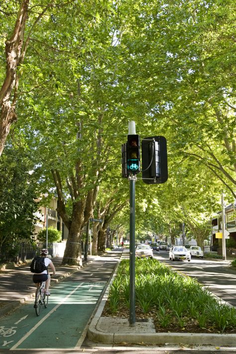 Bourke Street Cycleway - Winner - 2012 Sydney Design Awards Pedestrian Street Design, City Cycling, Streetscape Design, Village Street, Walkable City, New Urbanism, Sustainable Transport, City Layout, Urban Landscape Design