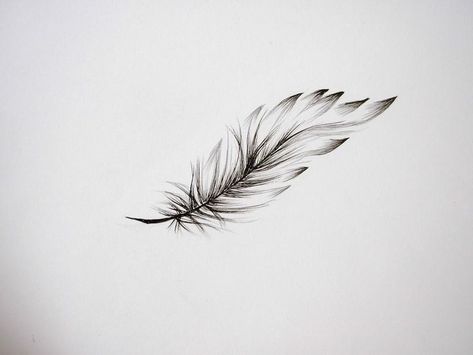 Feather Collarbone Tattoo, Feather Arm Tattoo, Tattoo Plume, Small Feather Tattoo, Wrist Tatoo, Tattoo Feather, Tattoo Garden, Tattoos Matching, Knot Tattoo