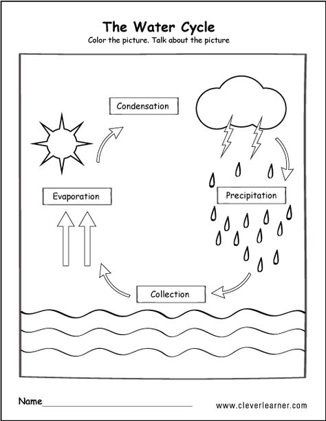 Printable water cycle worksheets for preschools Water Cycle Anchor Chart, Water Cycle Craft, Water Cycle Model, Water Cycle For Kids, Water Cycle Poster, Rain Cycle, Water Cycle Project, Water Cycle Diagram, Ochrana Prírody