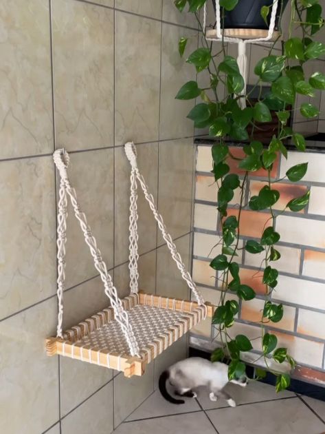 Diy Hanging Cat Basket, Diy Cat Hanging Bed, Crochet Cat Hammock, Cat Ideas For Home, Cat Macrame, Diy Cat Hammock, Macrame Cat Hammock, Free Macrame Patterns, Dog Hammock