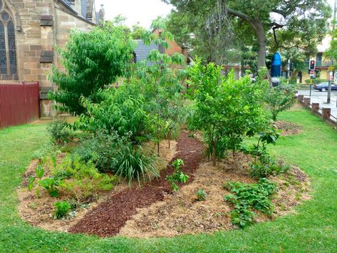 Small Food Forest Layout, Vegetable Garden Soil, Food Forests, Food Forest Garden, Garden Forest, Garden Site, Backyard Garden Layout, Backyard Garden Landscape, Permaculture Gardening