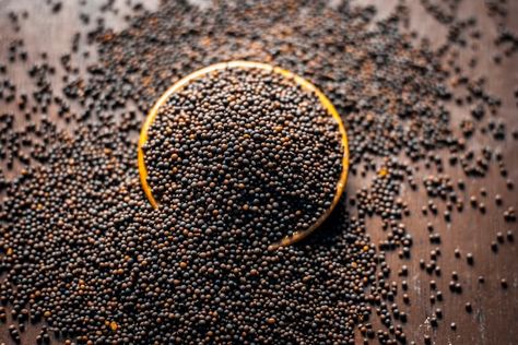 If you have never used mustard seeds in your cooking, this is your guide. Learn how to buy and use mustard seeds and learn about different types of mustard seeds. Paleo Honey Mustard, Mustard Kitchen, Honey Mustard Recipes, Mustard Chicken Recipes, Black Mustard Seeds, Mustard Recipe, Nigella Seeds, Honey Mustard Sauce, Brown Mustard