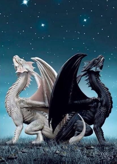 Black and White... Two dragons that are so different yet very similar for those of us who can see it Creaturi Mitice, Dragon's Lair, Cool Dragons, Fairy Dragon, Beautiful Dragon, Dragon Pictures, White Dragon, Dragon Artwork, Mythological Creatures