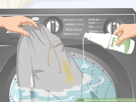 How To Remove Pee Smell From Clothes, Pee Smell Out Of Clothes, Cat Urine Out Of Clothes, Remove Urine Smell From Clothes, Urine Smell Out Of Clothes, How To Get Cat Urine Out Of Clothes, How To Get Urine Smell Out Of Clothes, How To Get Urine Smell Out Of Blankets, Remove Cat Urine Smell From Clothes