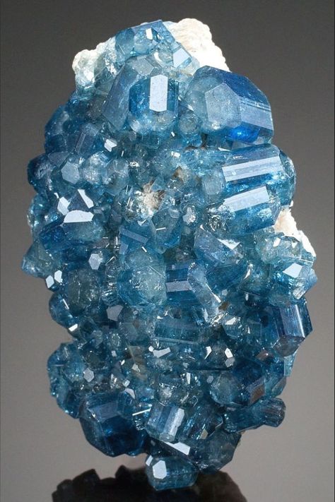 Apatite is the most common phosphate mineral, and is the main source of the phosphorus required by plants. The bones and teeth of most animals, including humans, are composed of calcium phosphate, which is the same material as Apatite. Rock Minerals, Pretty Rocks, Beautiful Rocks, Mineral Stone, Minerals And Gemstones, Rocks And Gems, Precious Gems, Gems And Minerals, Stone Rocks