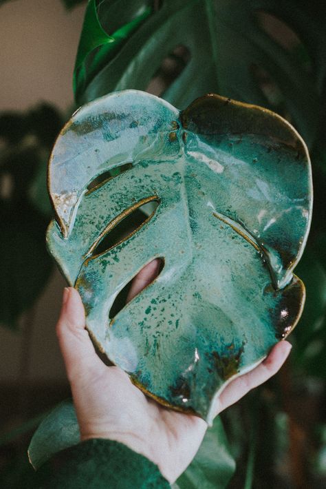 Handmade Pottery, Planters & Vases inspired by nature created by Shii Kaina in Anchorage, Alaska. Shop her pottery or subsribe to be notified of the next POTTERY DROP! — AMONG THE JUNGLE — Keywords: planter, houseplant, monstera deliciosa, monstera, home decor, leaves, leaf, plant help, plant care, garden, gardener, florist, floral design, ceramics, pottery, decor, decoratice tray, home decor, plant styling Forest Inspired Pottery, Leaf Clay Mug, Ceramic Plant Art, Ceramic Monstera Leaf Bowl, Garden Sculpture Ceramic, Ceramic Monstera Leaf, Monstera Leaf Pottery, Plant Pottery Ideas, Ceramics Inspired By Nature