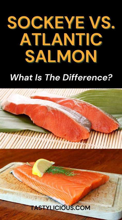 difference between sockeye and Atlantic salmon | sockeye vs atlantic salmon taste | sockeye vs atlantic salmon nutrition | refreshing spring recipes | quick lunch recipes | dinner ideas | easy dinner recipe | healthy dinner recipe Wild Sockeye Salmon Recipes Baked, Wild Alaskan Sockeye Salmon Recipes, How To Cook Sockeye Salmon, Alaska Sockeye Salmon Recipes, Wild Caught Sockeye Salmon Recipes, Alaskan Sockeye Salmon Recipes, Sockeye Salmon Recipe Grilled, Sock Eye Salmon Recipes, Smoked Sockeye Salmon Recipes