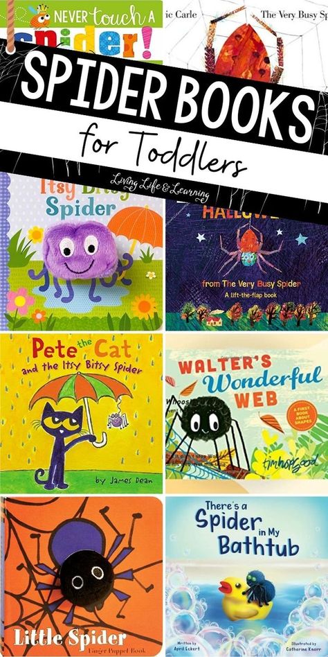 Spider Books for Toddlers Spider Writing, Story Books For Toddlers, Cool Creatures, Spider Fact, The Very Busy Spider, Books For Preschoolers, Spider Book, Cycle For Kids, Books For Toddlers