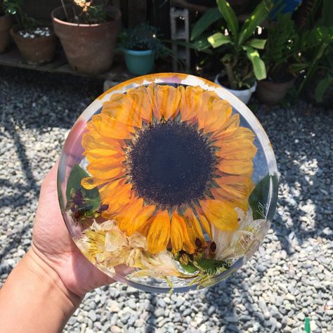 Sunflower Coaster, Sunflower Home Decor, Flower Preservation, Diy Resin Art, Diy Resin, How To Preserve Flowers, Resin Diy, Resin Crafts, Resin Art