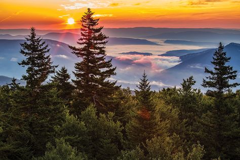 West Virginia Photography, Take Me Home Country Roads, Blackwater Falls State Park, Virginia Hill, Monongahela National Forest, West Virginia Mountains, West Virginia Travel, New River Gorge, East Coast Road Trip