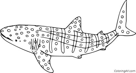 11 free printable Whale Shark coloring pages in vector format, easy to print from any device and automatically fit any paper size. Shark Printables, Frilled Shark, Shark Activities, Shark Images, Whale Coloring Pages, Shark Silhouette, Cartoon Whale, Shark Drawing, Sharks For Kids