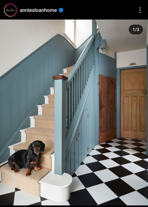 Blue Hallway Ideas, Blue Wall Paint, Cambrian Blue, Blue Hallway, Stylish Entryway, Blue Painted Walls, Colors Wallpaper, Narrow Hallway Decorating, Dulux Paint