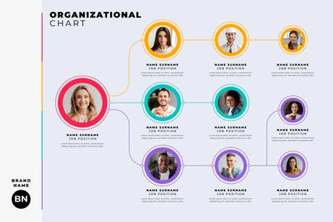 Organisation Chart Design Aesthetic, Org Chart Design, Organization Chart Design, Organisation Chart, Organizational Chart Design, Content Infographic, Business Infographic Design, Timeline Infographic Design, Strategy Infographic