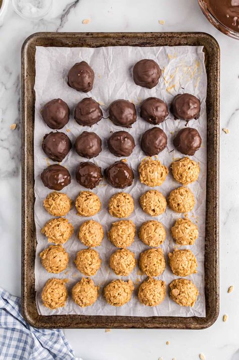 Buckeyes Recipe With Rice Krispies, Rice Crispy Treats Christmas, Buckeye Cookies Recipe, Cookies With Rice Krispies, Buckeye Dessert, Peanut Butter Rice Crispy Treats, Chocolate Rice Crispy Treats, Peanut Butter Rice Crispies, Rice Krispies Recipe