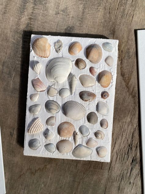 art shells ocean shell decor decorations diy do it yourself canvas with spackle Seashell Art Spackle, Shells On A Canvas, Shell Spackle Art, Seashell Art On Canvas, Seashell Art Canvas, Diy Seashell Wall Art, Shells On Canvas Diy, Plaster Shell Art, Seashell Plaster Art