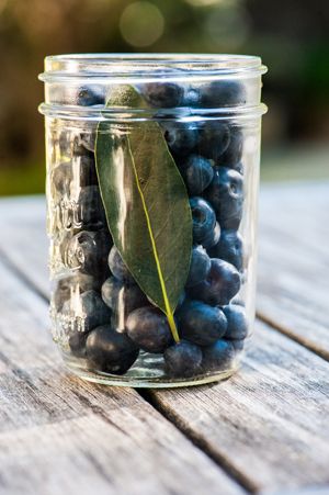 Pickled Blueberries | Cooking with Beer | Pickled Seasonal Fruit Pear Vinegar, Pickled Cherries, Beer Serving, Cooking With Beer, Strawberry Blueberry, Charcuterie Platter, Vanilla Bean Ice Cream, Pickled Red Onions, Chicken Stew