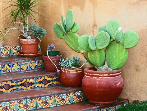 Re-create this beautiful Talavera Tile entryway!   Authentic Mexican Tile from La Fuente Imports: http://www.lafuente.com/Tile/Talavera-Tile/ Style Hacienda, Mexican Inspiration, Stucco Wall, Mexican Garden, Entryway Tile, Mexican Hacienda, Mexico House, Mexican Home Decor, Mexican Home