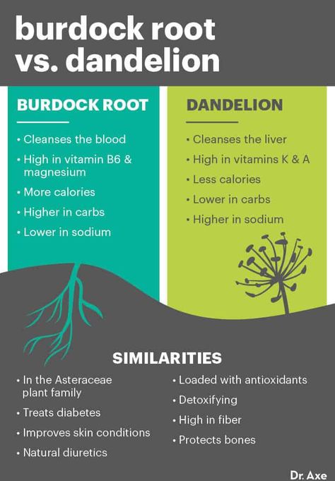 Dandelion And Burdock, Lymph System, Special Diet, Burdock Root, Dr Sebi, Natural Healing Remedies, Natural Therapy, Natural Health Remedies, Healing Herbs