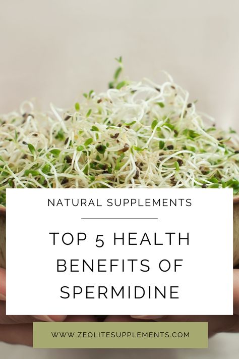 Herbal spermidine, a remarkable compound found abundantly in various plant sources, has gained significant attention for its potential health benefits. Unlocking the power of autophagy, a crucial cellular process, it offers a multitude of advantages. Dive into this article to explore the wonders of herbal spermidine, its plant sources, and the top five scientifically-supported health benefits that arise from its capacity to increase autophagy.... Spermidine Benefits, Germinating Seeds, Seafood Chowder, Spinach Stuffed Mushrooms, Disease Prevention, Cardiovascular Health, Immune Health, Healthy Aging, Top Five