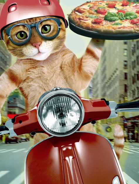 pizza cat - cat - pizza delivery postcard pizza ,pet ,kittens ,"tabby cat ","cute cats" ,"funny cats","cat pizza" ,"cat delivery ","delivery cat" ,delivery , Cat Pizza, Pizza Logo, Funny Postcards, Pizza Cat, Pizza Delivery, Pet Kitten, Cats Funny, Cat Painting, Postcard Size