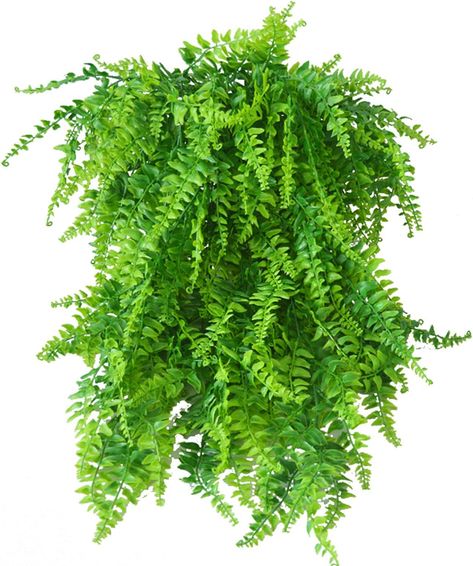 Hanging Ferns, Fake Ivy, Fake Potted Plants, Fake Hanging Plants, Artificial Hanging Plants, Peonies And Hydrangeas, Ivy Plants, Boxwood Topiary, Artificial Plants Outdoor