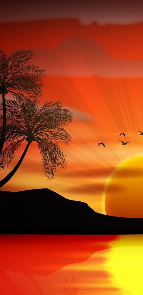 Art Calligraphy, Amazing Sunsets, Sunset Wallpaper, Beautiful Moon, Beautiful Sunrise, Beautiful Nature Wallpaper, Sunset Pictures, Birds Flying, Beautiful Nature Pictures