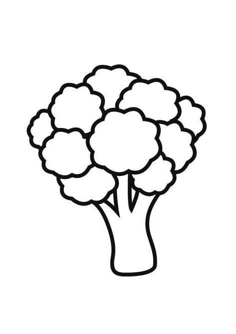 Broccoli Drawing, Toddler Vegetables, Vegetable Coloring Pages, Vegetable Pictures, Fruit Coloring Pages, Preschool Activities Toddler, Fruit Art, Art Party, Floral Illustrations