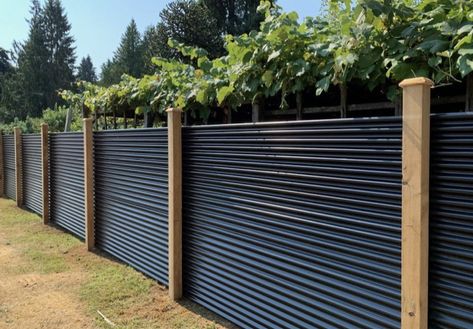 Sheet Metal Fence, Privacy Fence Landscaping, Egg Burger, House Fence, Metal Fence Panels, House Fence Design, Fence Designs, Privacy Fence Designs, Backyard Fence