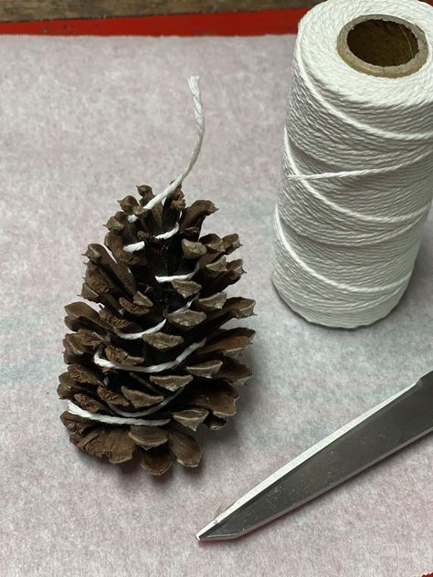 Make Beautiful Pine Cone Fire Starters - Amateur Camper Pinecones Fire Starter Diy, How To Make Pinecone Fire Starters, Pine Cone Candles Diy, Pinecone Firestarters Diy, Fire Starter Pine Cones, Pinecone Fire Starter Diy How To Make, Pine Cone Fire Starter Diy, Pinecone Firestarters, Pine Cone Fire Starters