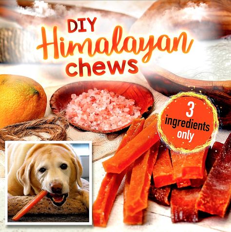 Diy Dog Chews, Himalayan Dog Chew Recipe, Diy Himalayan Dog Chew, Dehydrated Dog Chews, Pumpkin Chews For Dogs, Yak Dog Chews, Make Dog Food, Raw Diet, Dog Bones